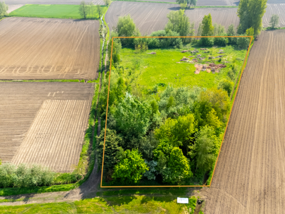 Bouwland in agrarische zone type 2 te Laarne