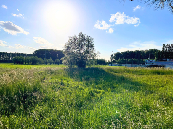 Ruime bouwgrond van 1.382 m² met uitstekende bereikbaarheid